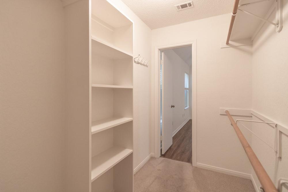 2411 Raintree Path Round Rock, TX 78664 - Photo 16 of 28 a view of closet