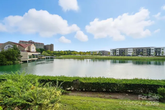 a view of a lake with a city
