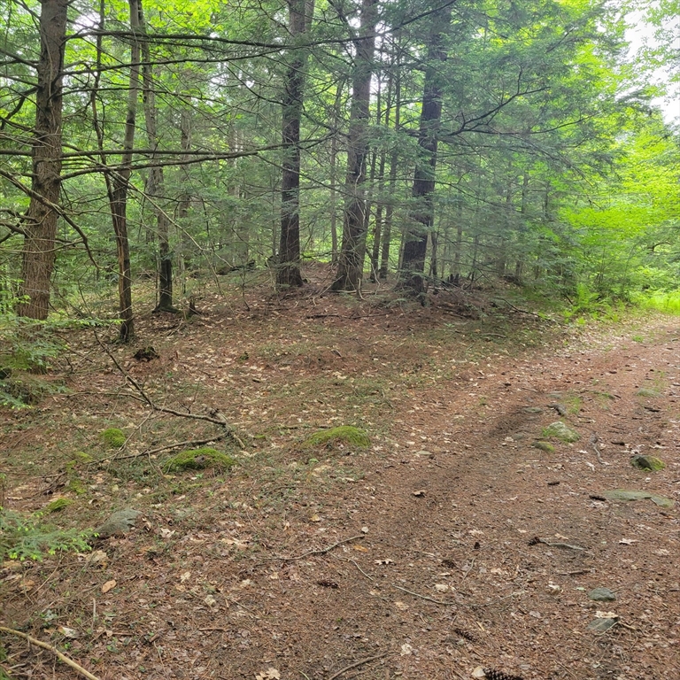 0 Stockwell Road Royalston, MA 01368 - Photo 4 of 8