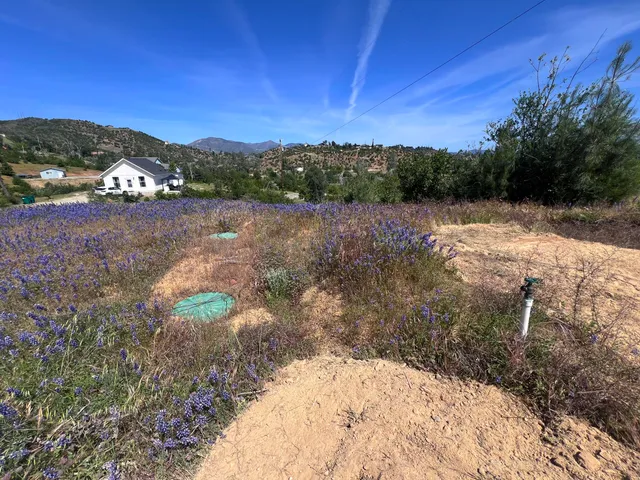 a view of lake with mountain