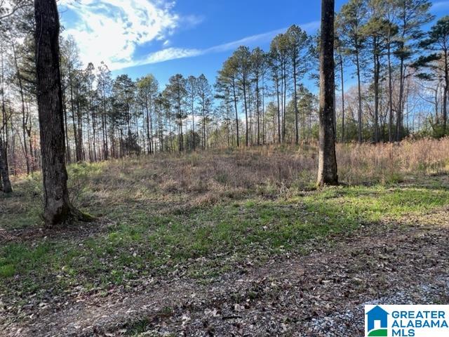 17 Rustic Oaks Drive, Unit 9 Sterrett, AL 35147 - Photo 5 of 13