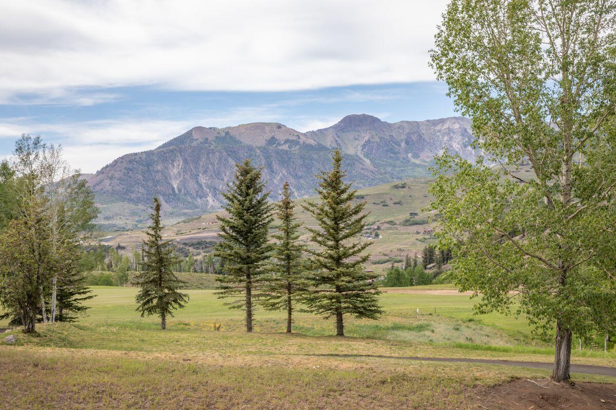 Tbd Adams Ranch Road Mountain Village, CO 81435 - Photo 8 of 13 Lot 709 (6)