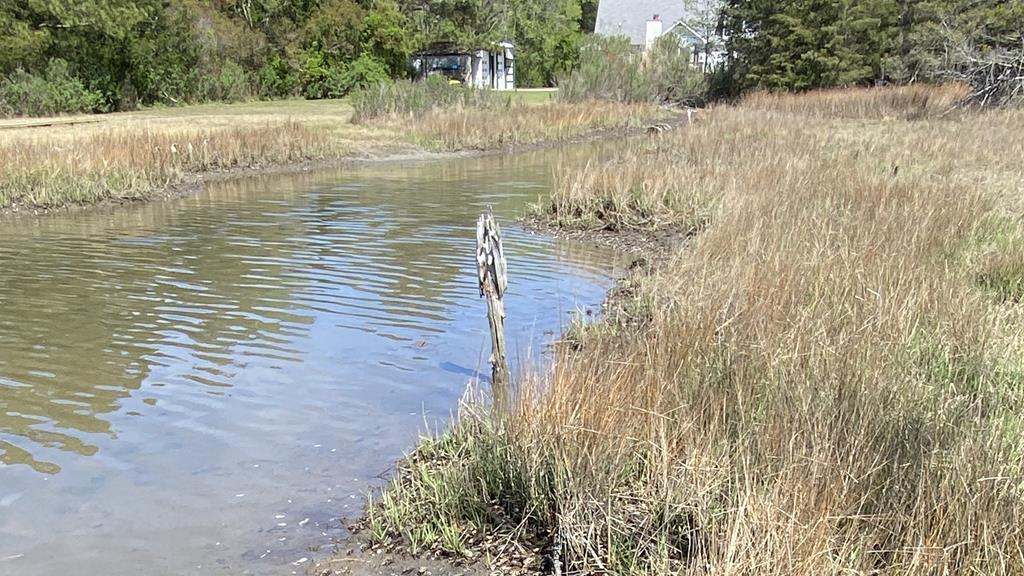 Lot 55 Back Creek Road, Unit 55B Hacksneck, VA 23358 - Photo 9 of 20