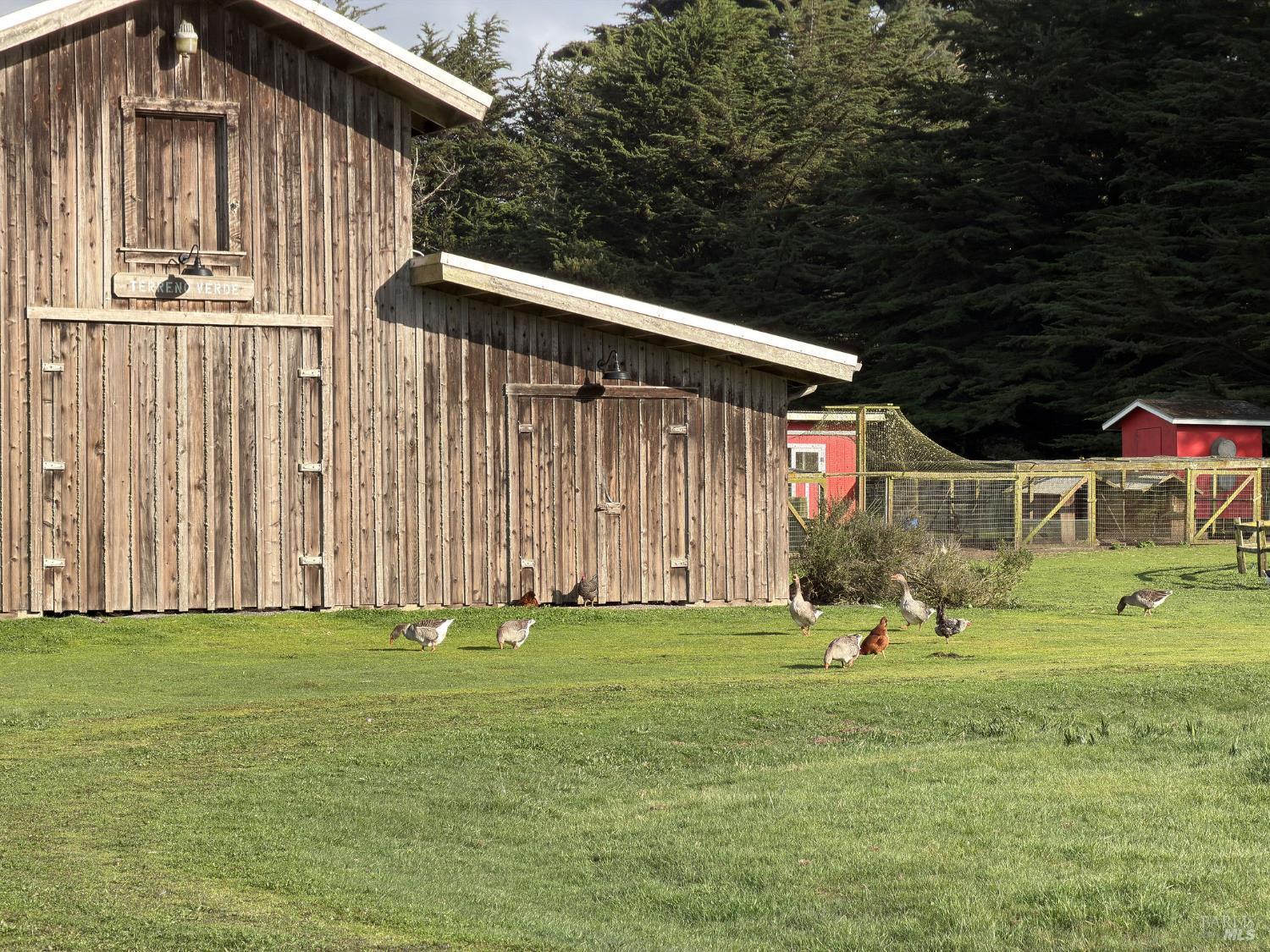 43700 Mountain View Road Manchester, CA 95459 - Photo 35 of 74