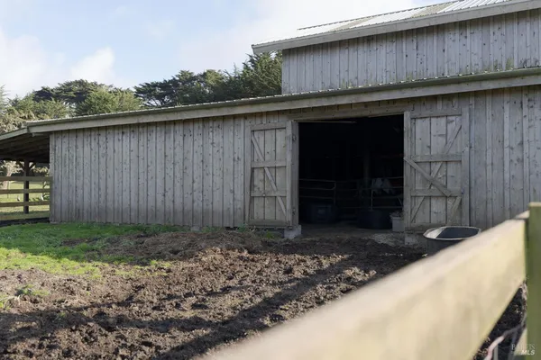 a view of a grassy field with trees