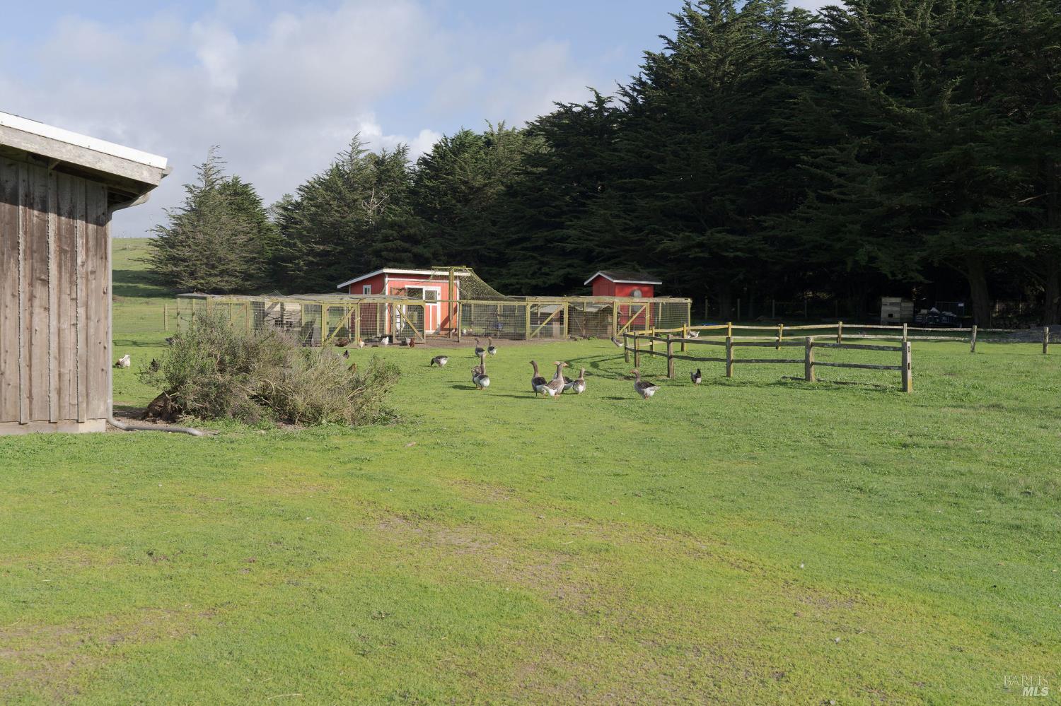 43700 Mountain View Road Manchester, CA 95459 - Photo 43 of 74 This spectacular 160 acre currently houses adopted rescued animals and horse pasture boarding business, as well as a peaceful respit from the world for humans.