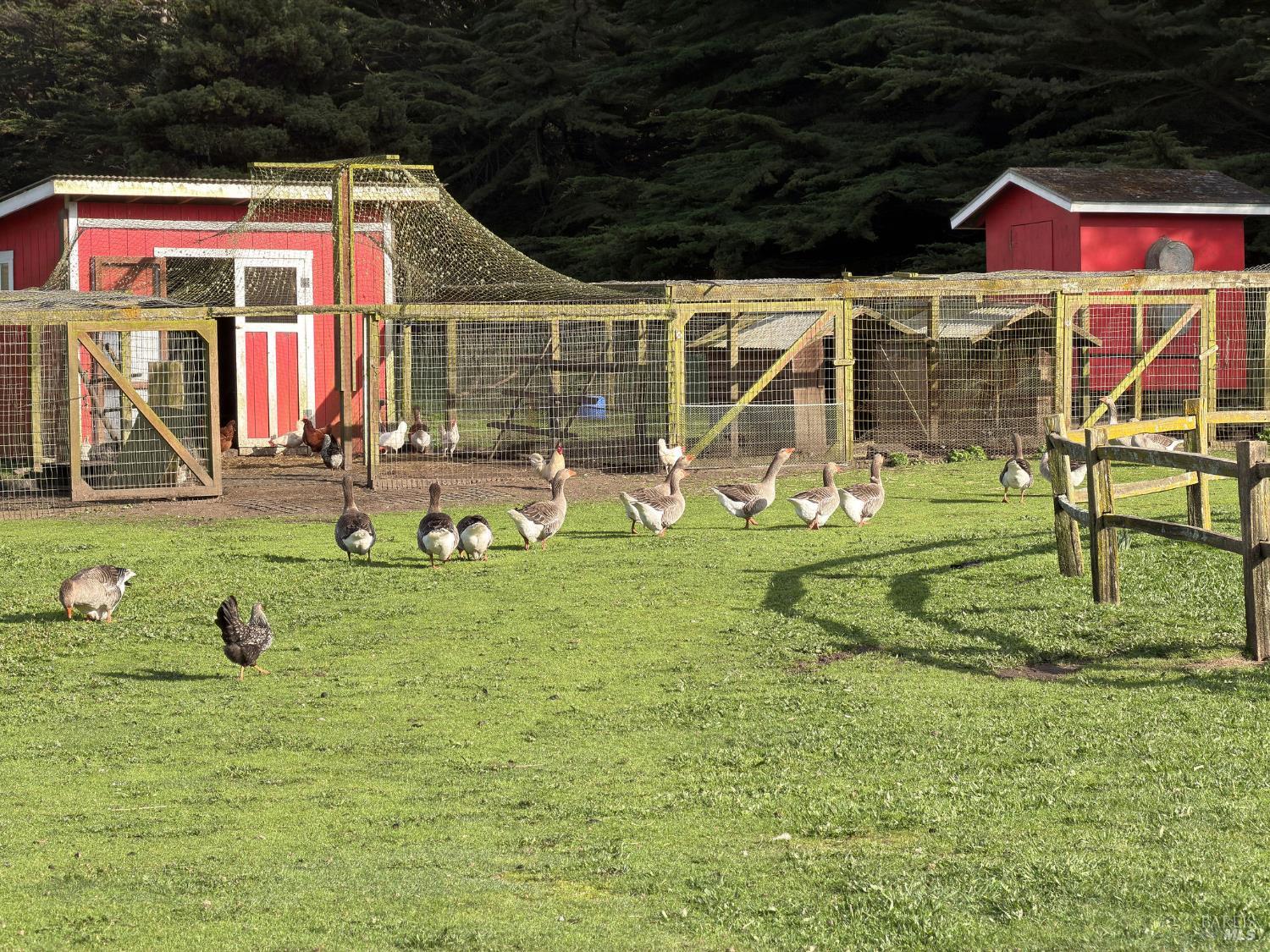 43700 Mountain View Road Manchester, CA 95459 - Photo 45 of 74