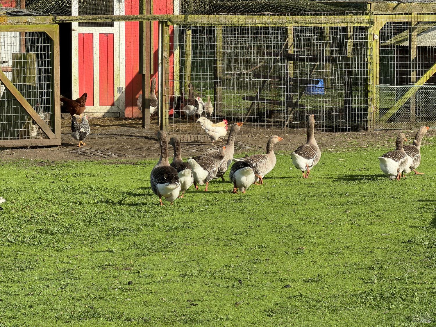 43700 Mountain View Road Manchester, CA 95459 - Photo 46 of 74