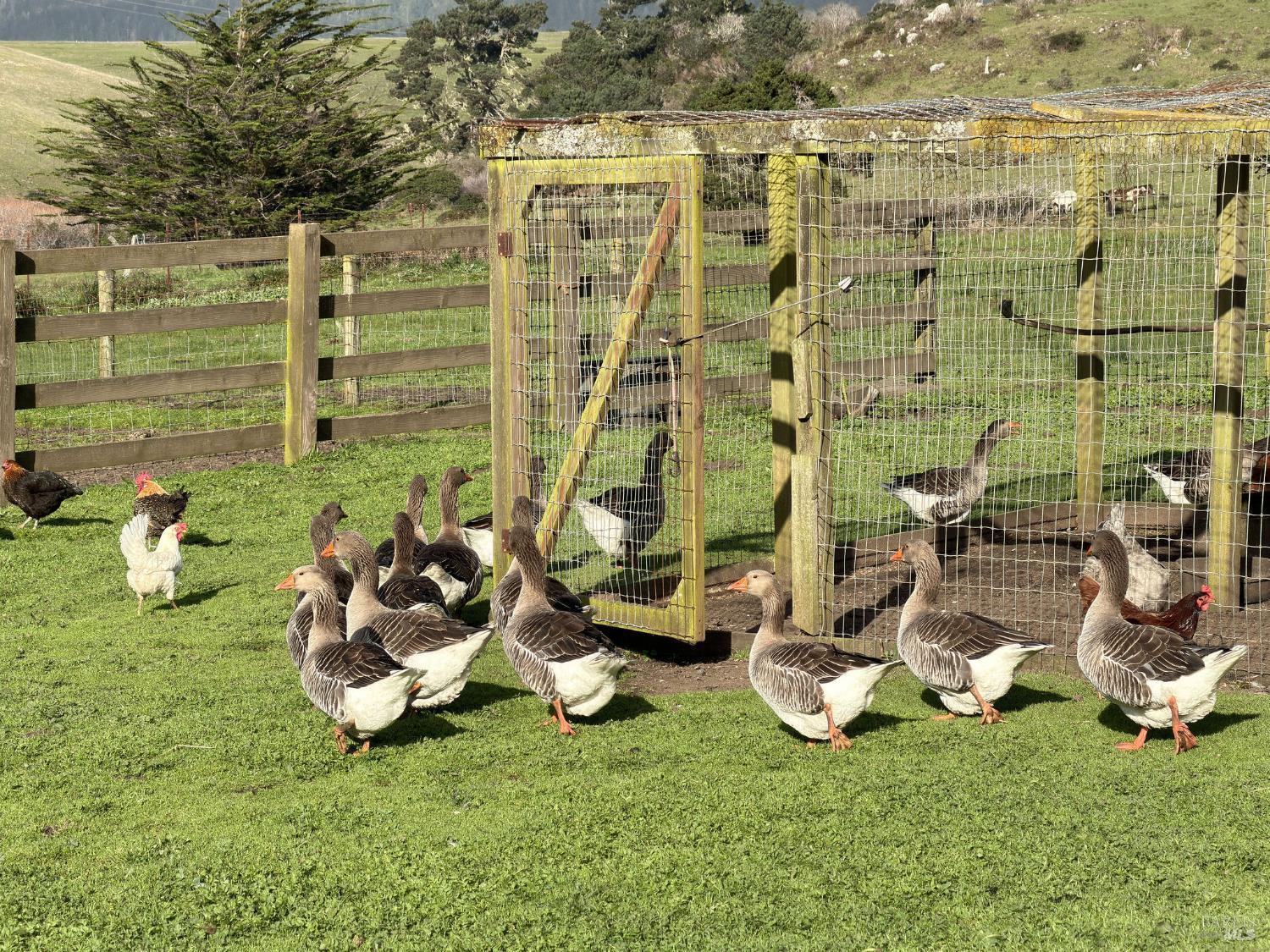 43700 Mountain View Road Manchester, CA 95459 - Photo 48 of 74