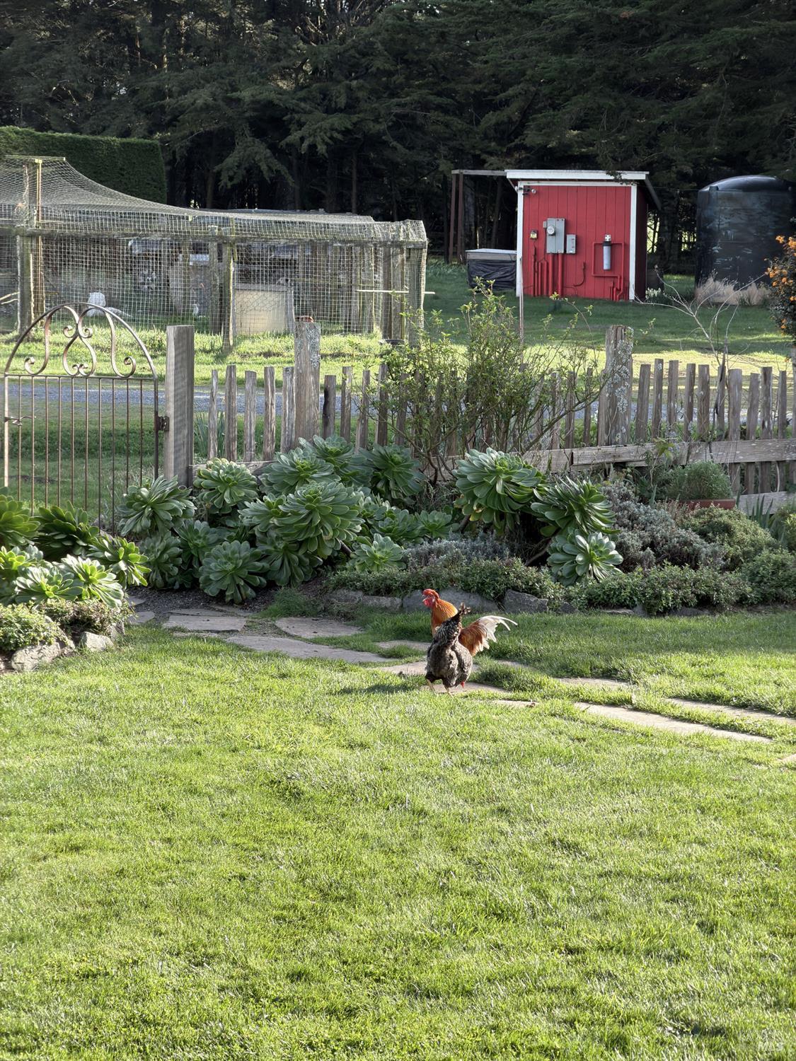 43700 Mountain View Road Manchester, CA 95459 - Photo 50 of 74