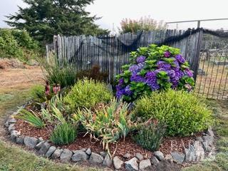 43700 Mountain View Road Manchester, CA 95459 - Photo 53 of 88