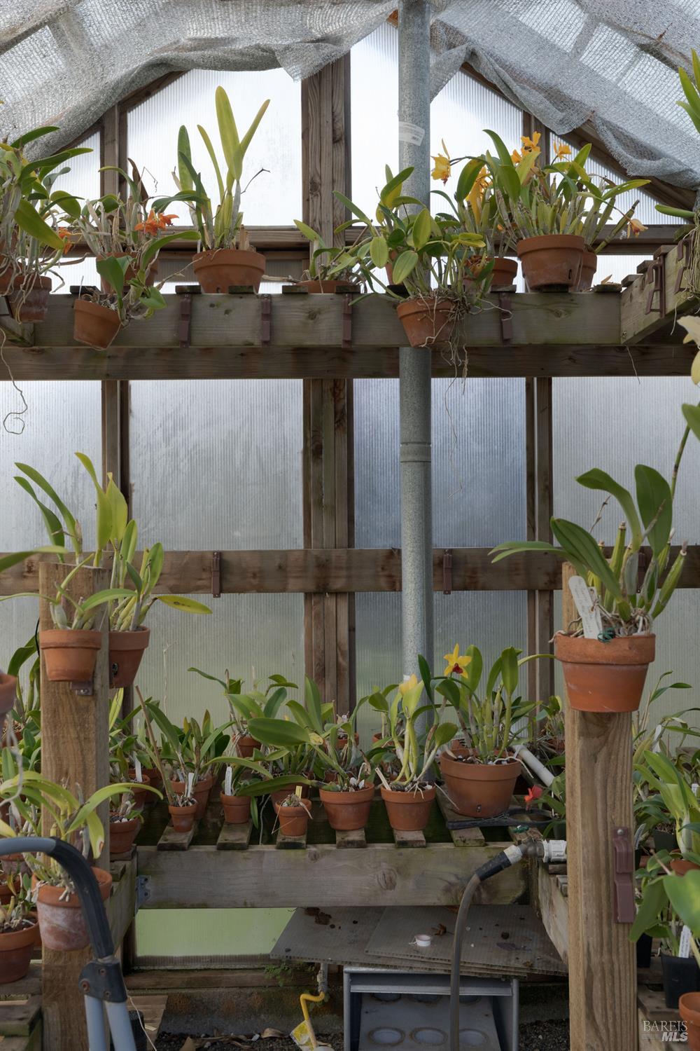 43700 Mountain View Road Manchester, CA 95459 - Photo 74 of 74 Amazing green houses