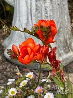 $2,400,000 | 43700 Mountain View Road, Manchester, CA 95459