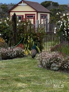 43700 Mountain View Road Manchester, CA 95459 - Photo 84 of 88 a view of a house with a yard and potted plants