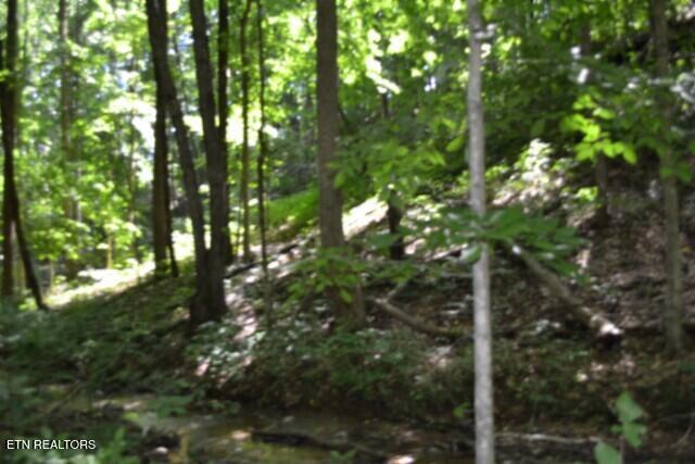 2390 Pea Ridge Fire Tower Road Celina, TN 38551 - Photo 40 of 58 DSC_0132