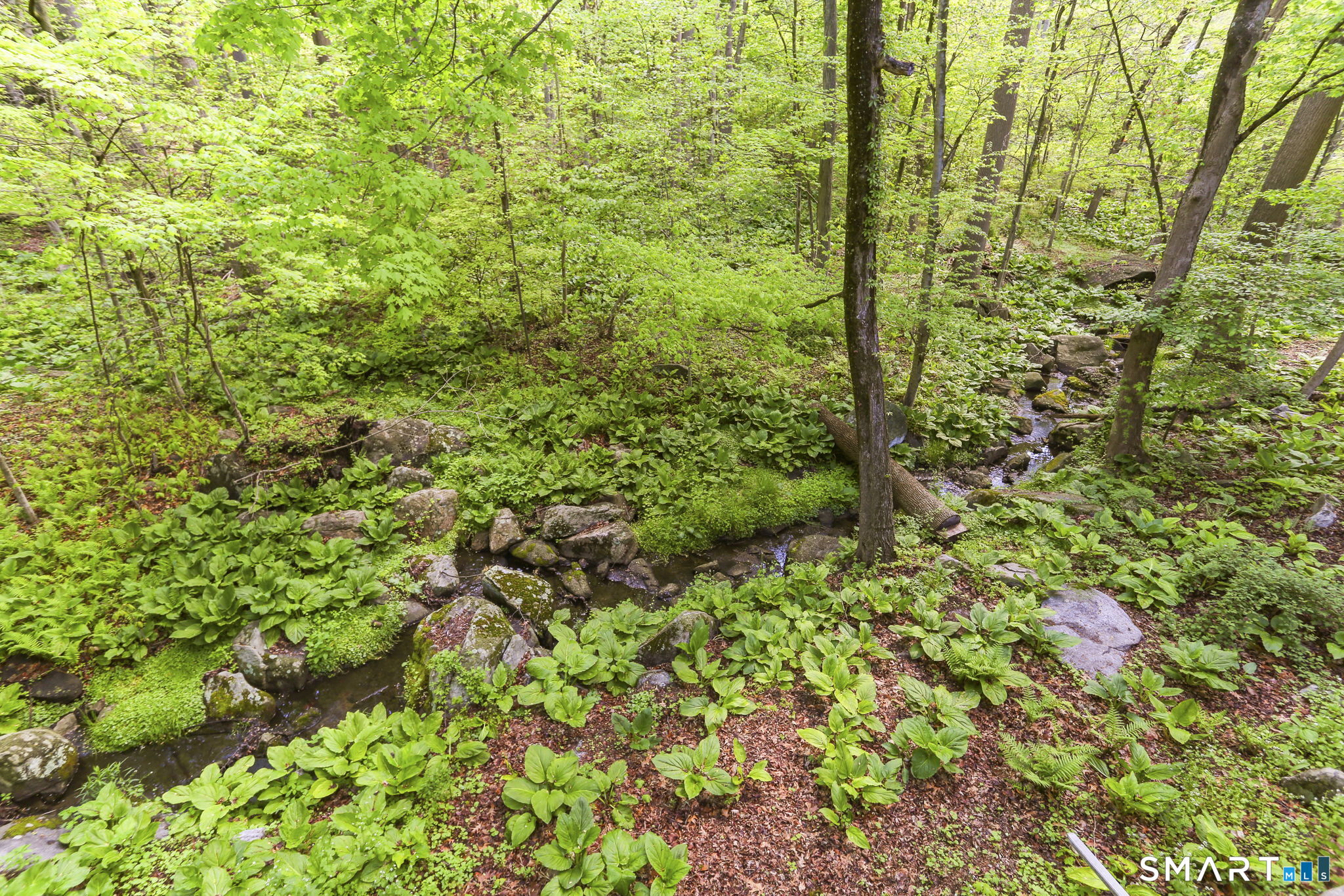 80 East Ridge Road Stamford, CT 06903 - Photo 30 of 38