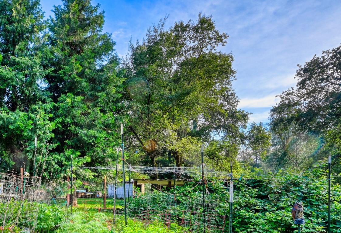 10016 East Lime Kiln Road Grass Valley, CA 95949 - Photo 27 of 32