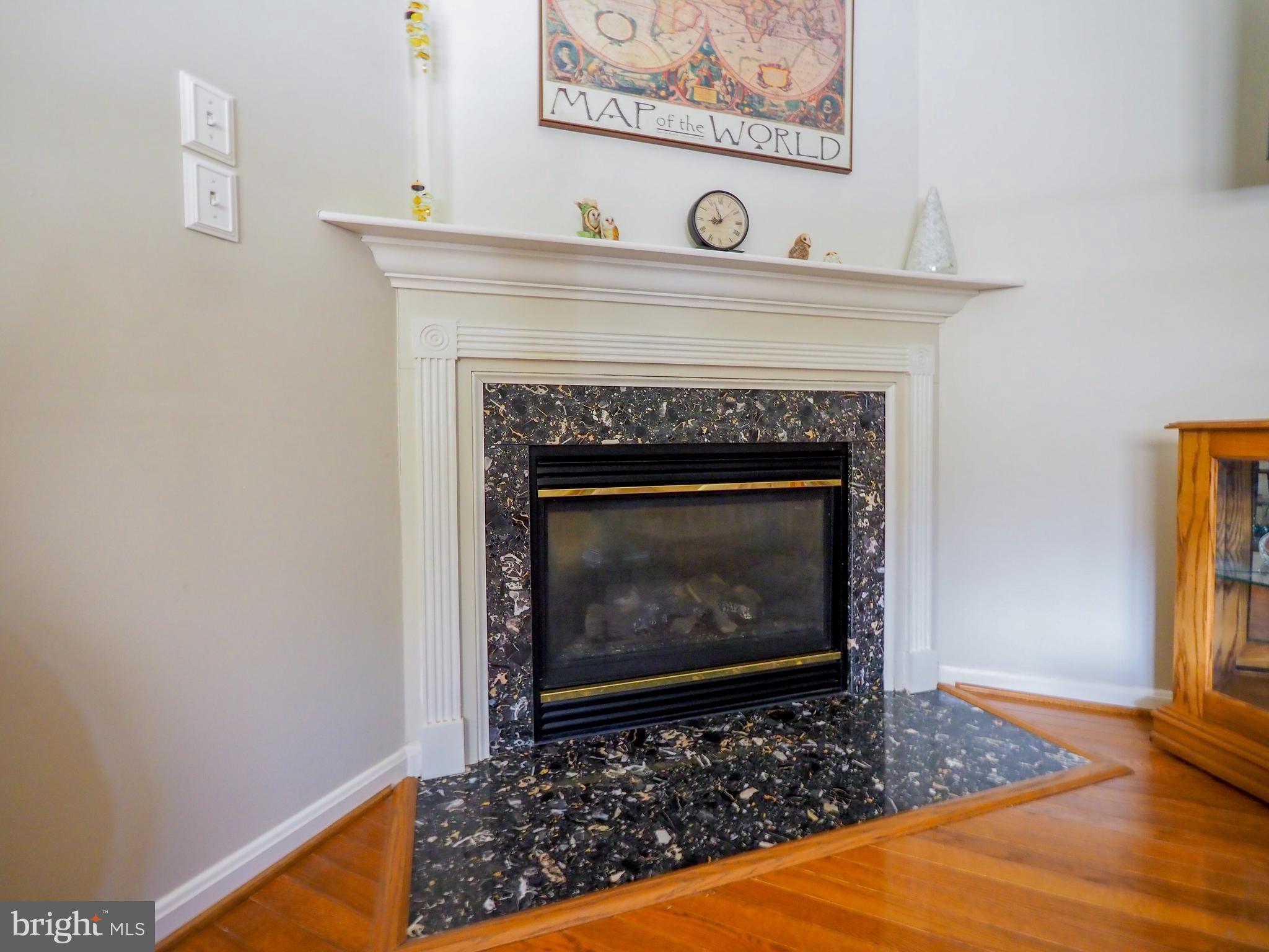 3526 North Chatham Road Ellicott City, MD 21042 - Photo 9 of 90 Gas Fireplace