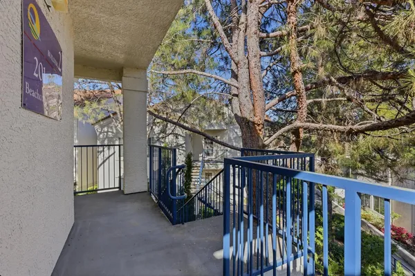 a view of staircase with lots of frames on wall and a tree