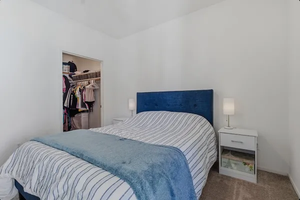 a bedroom with a bed and a closet