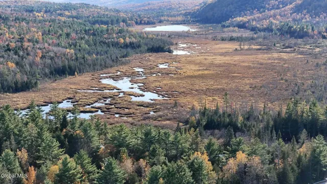 $339,000 | 457 Morse Memorial Highway, Minerva, NY 12857