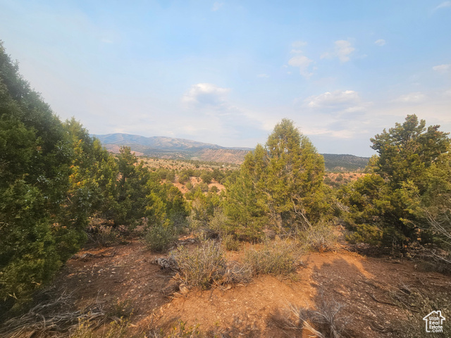 915 South Stagecoach Road, Unit 8 Fruitland, UT 84027 - Photo 20 of 40 Beautiful Property Views - Nice Large Trees!