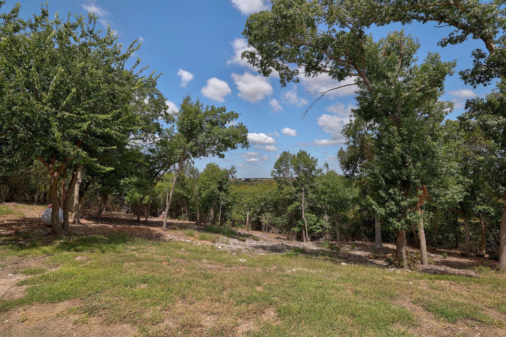 1120 Redbird Road Granger, TX 76530 - Photo 29 of 40 View of yard with a wooded view