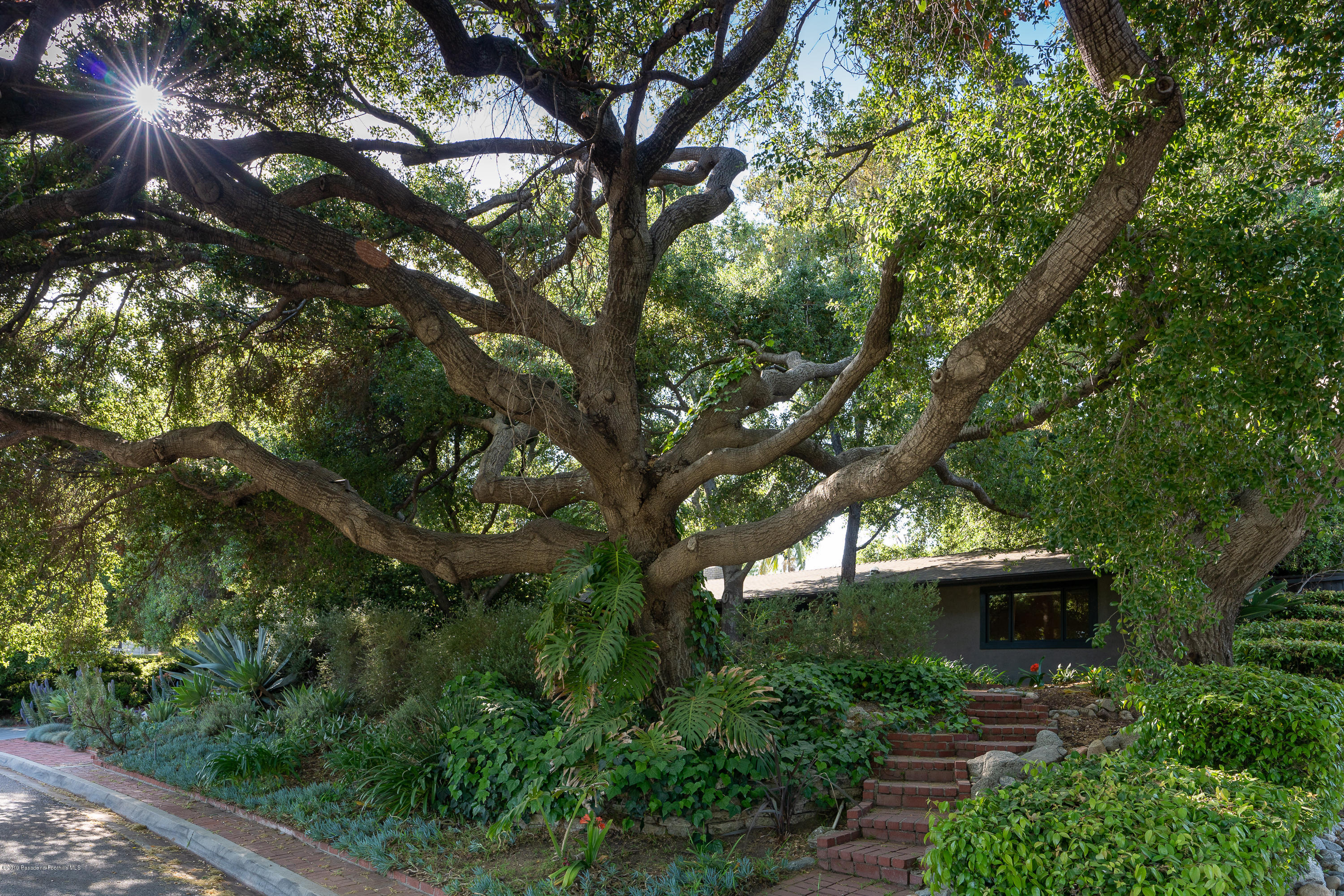 3795 Shadow Grove Road Pasadena, CA 91107 - Photo 3 of 48 a front view of house with yard and green space