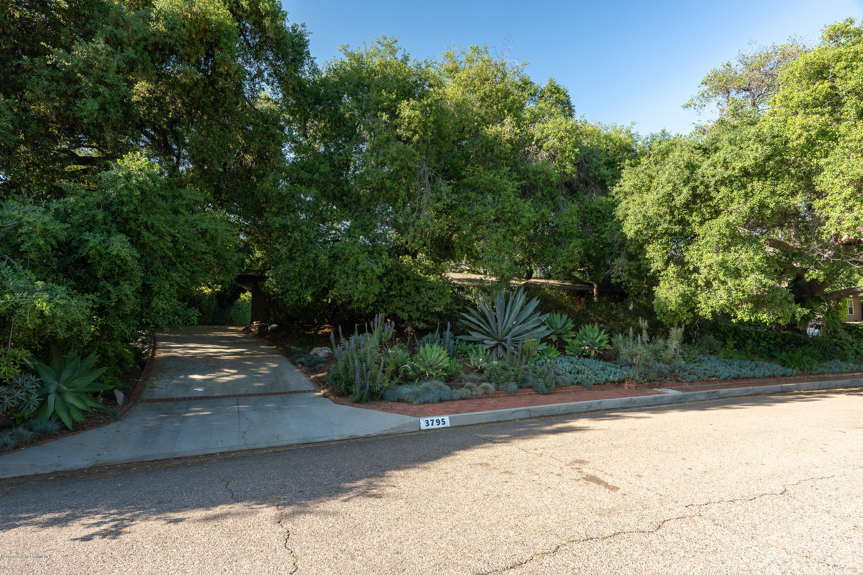 3795 Shadow Grove Road Pasadena, CA 91107 - Photo 38 of 48 a view of path and green space