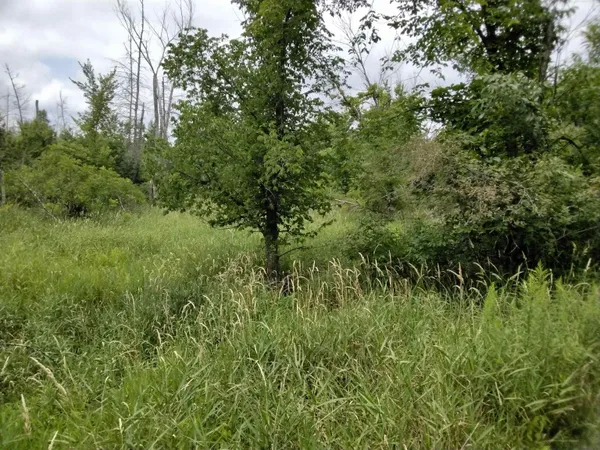 $549,990 | L1 County Rd C, Montello, WI 53949