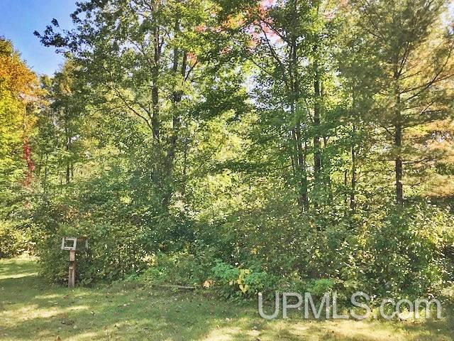 W8211 Co Road Pembine, WI 54156 - Photo 23 of 23