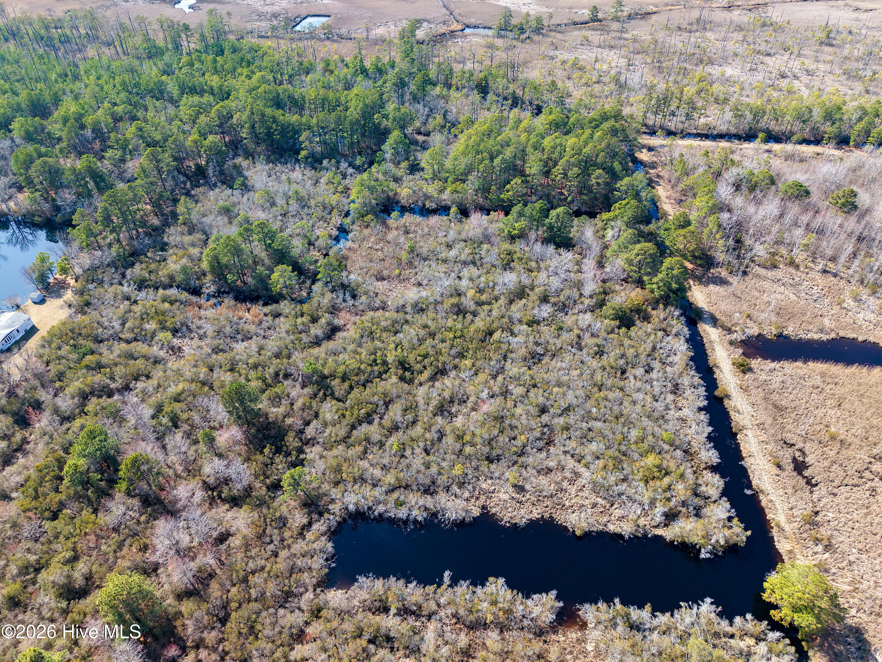 959 Waterlily Road Coinjock, NC 27923 - Photo 10 of 24