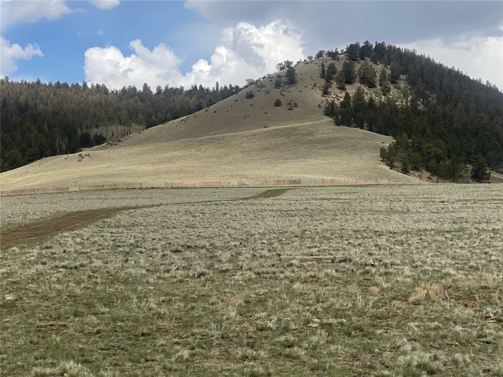 2416 Bar D Road Como, CO 80432 - Photo 17 of 25 Gallery Image 17