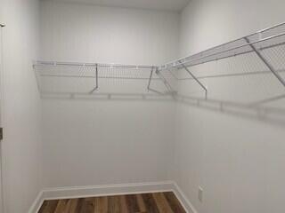 9792 County Line Road Southwest Mitchell, GA 30820 - Photo 16 of 29 owner's closet