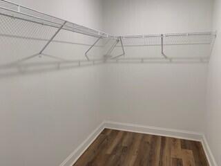 9792 County Line Road Southwest Mitchell, GA 30820 - Photo 17 of 29 owner's closet