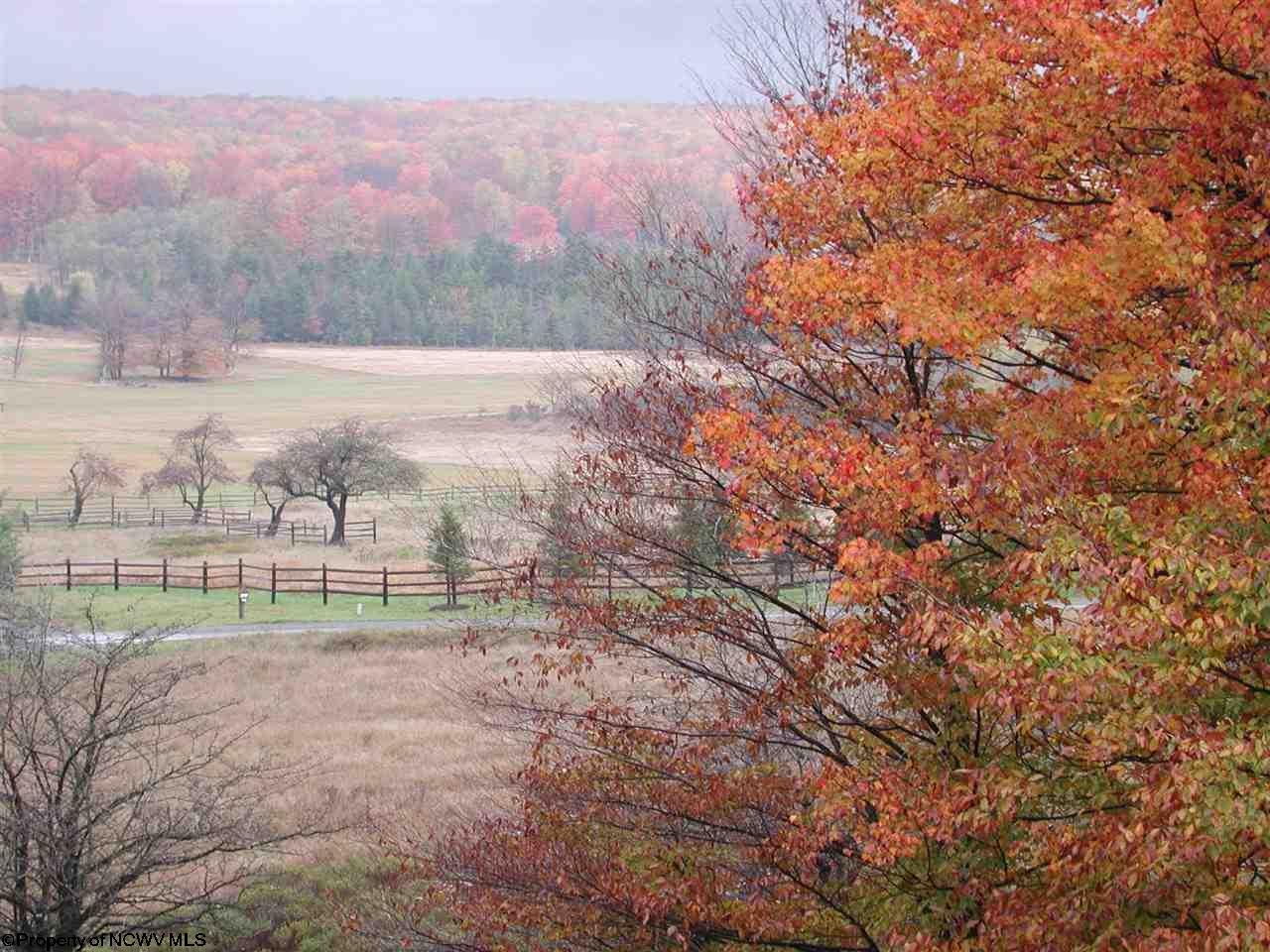 3100 Timberline Road Davis, WV 26260 - Photo 22 of 24 Gallery Image 22