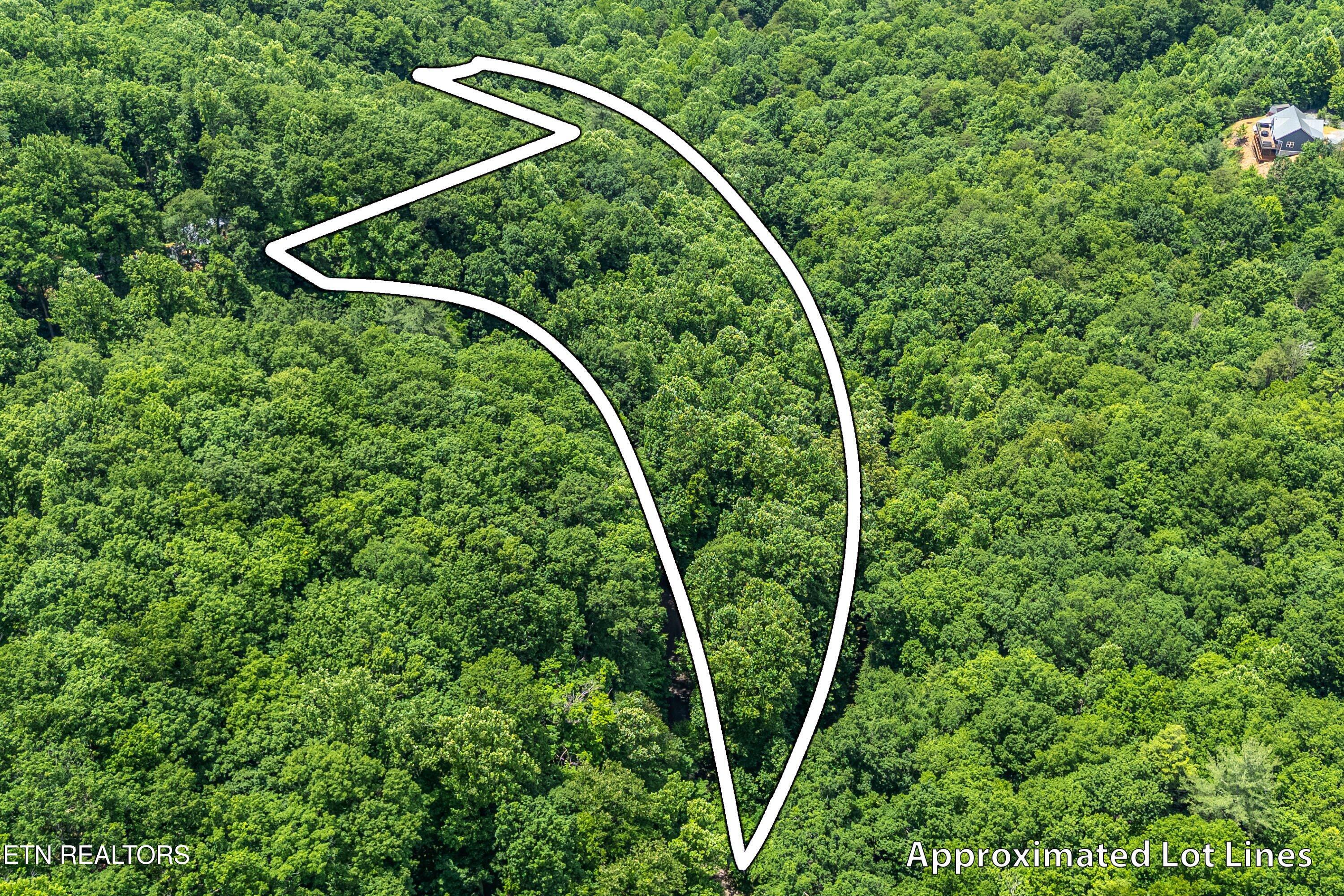 229 Sonshine Ridge Road Cosby, TN 37722 - Photo 12 of 22 09-2nd Lot A3