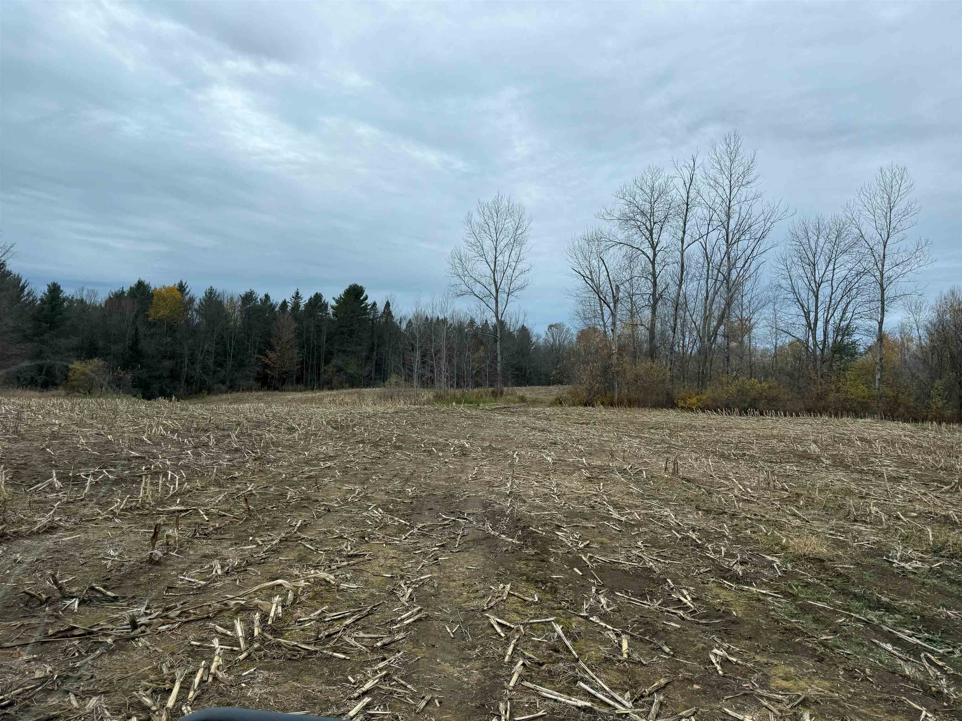 0 Hinman Settler Road Brownington, VT 05860 - Photo 2 of 10