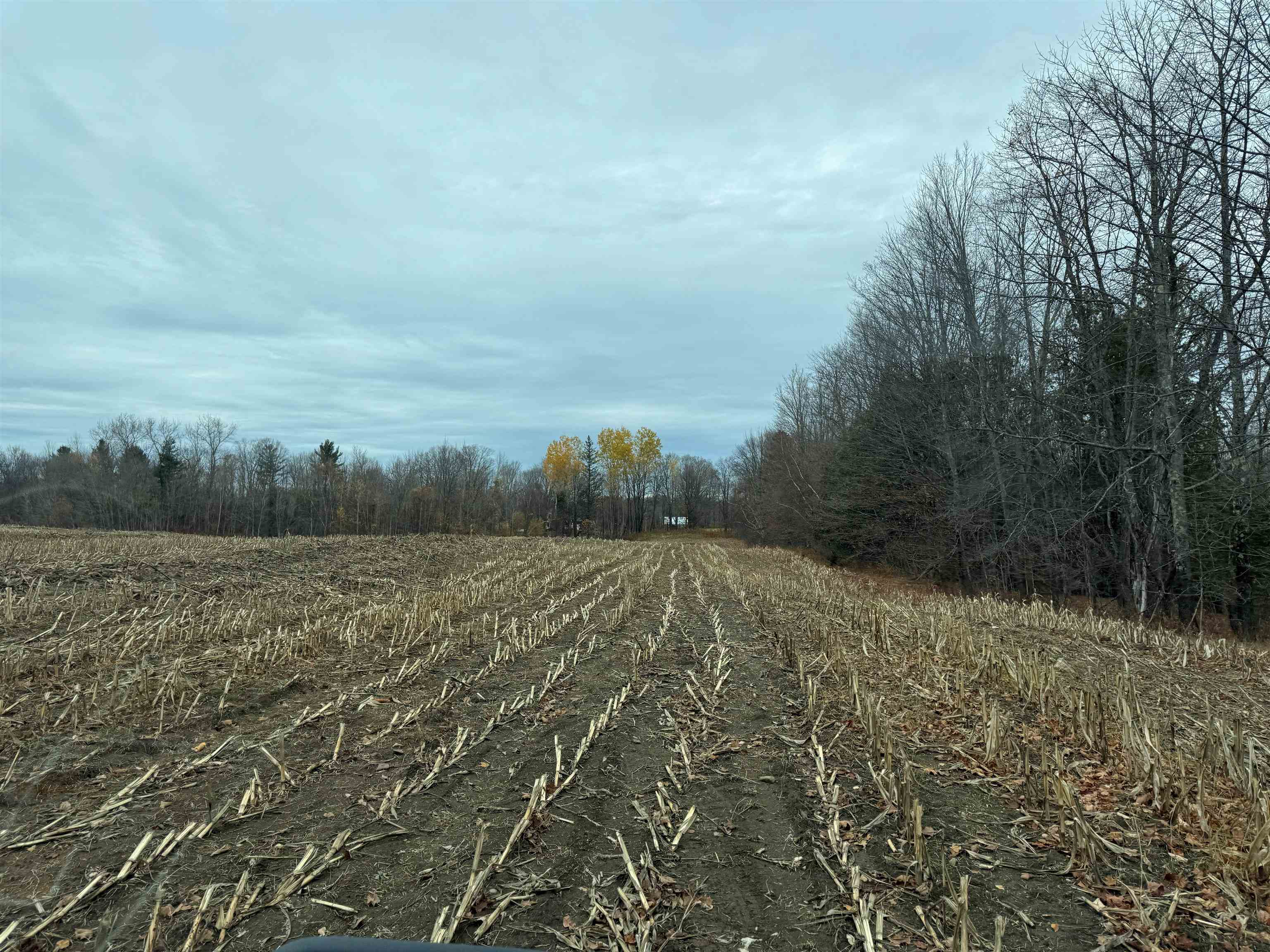 0 Hinman Settler Road Brownington, VT 05860 - Photo 4 of 10