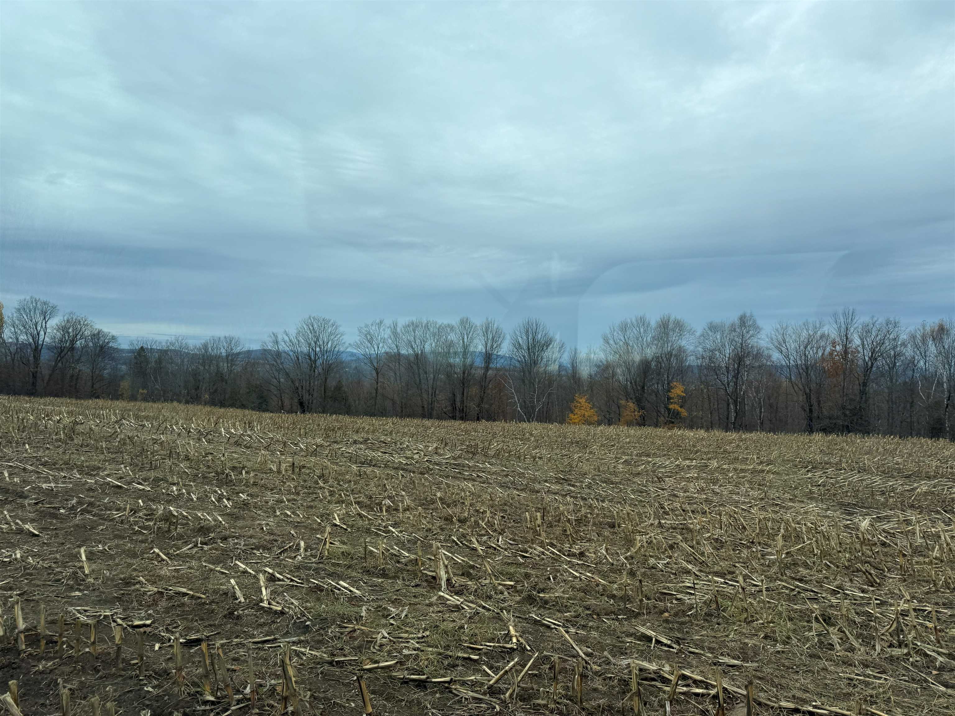 0 Hinman Settler Road Brownington, VT 05860 - Photo 5 of 10