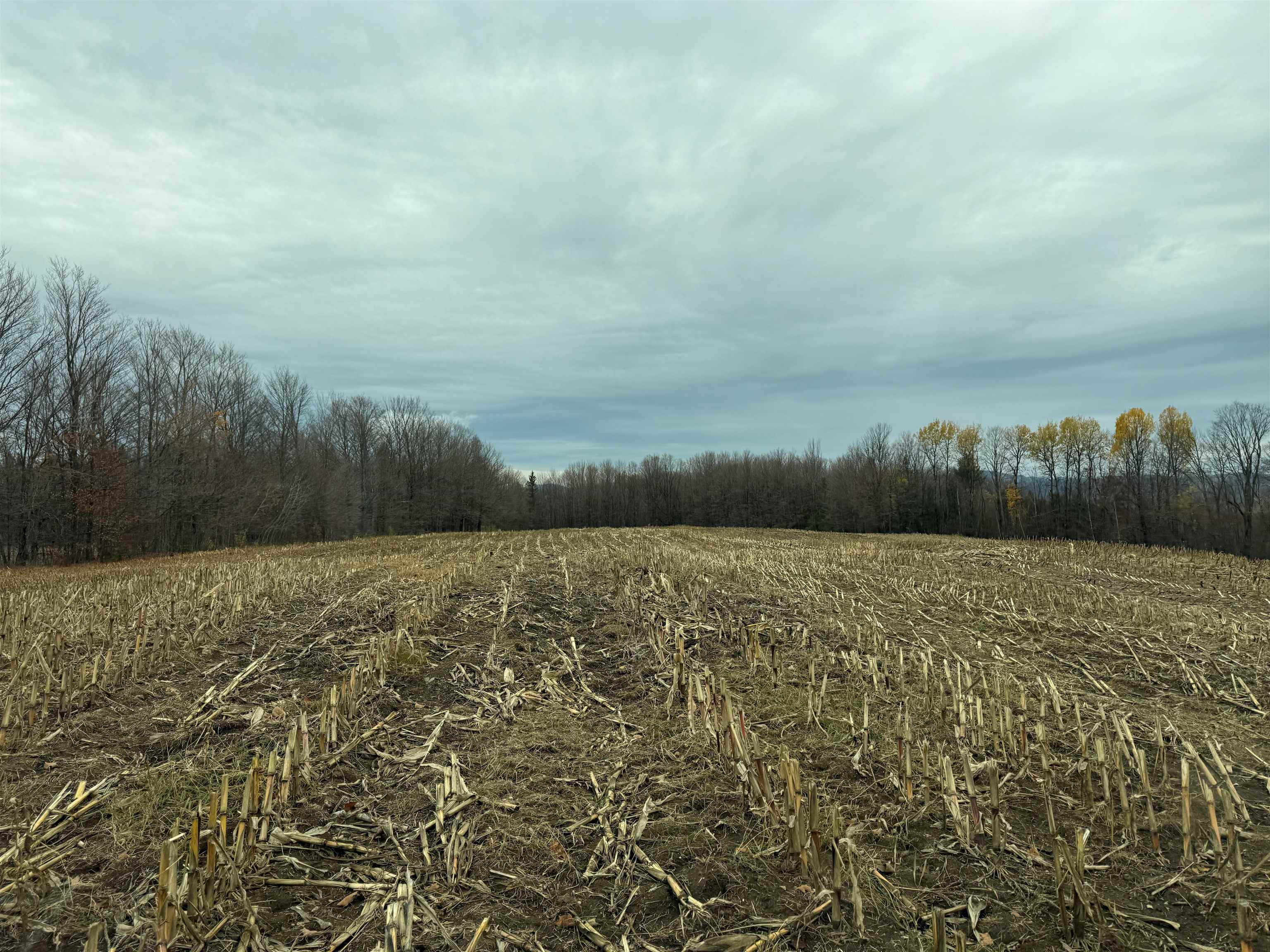 0 Hinman Settler Road Brownington, VT 05860 - Photo 6 of 10