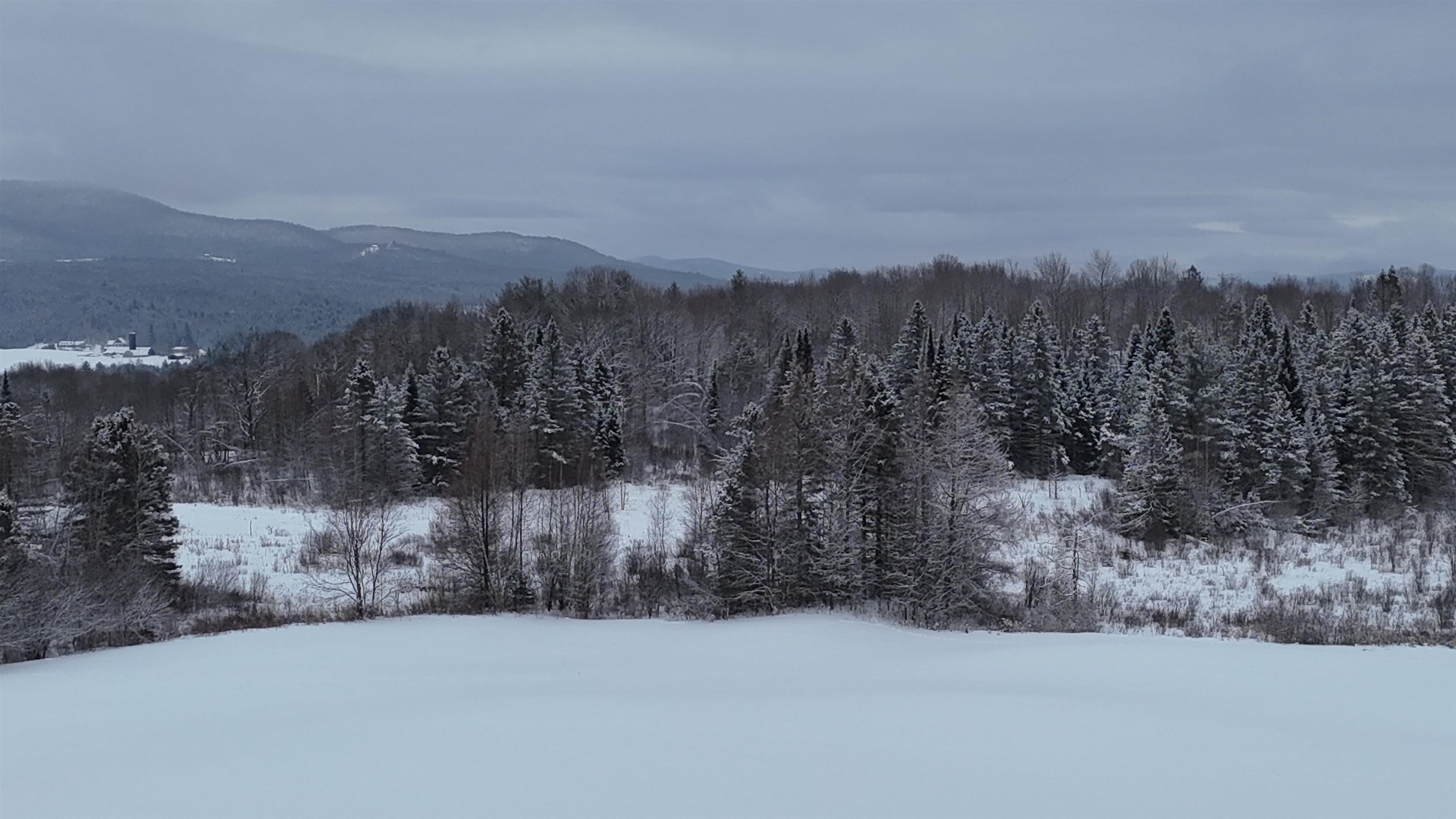 0 Hinman Settler Road Brownington, VT 05860 - Photo 10 of 10