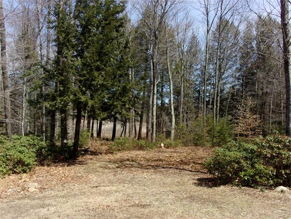 14 East River Road Chester, MA 01050 - Photo 8 of 30
