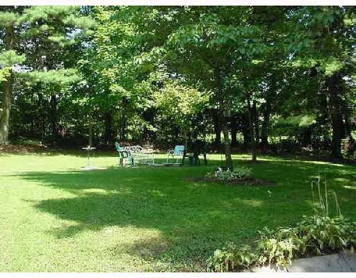 1096 Spring Hill Road Murrysville, PA 15668 - Photo 8 of 8 Yard/Garden.