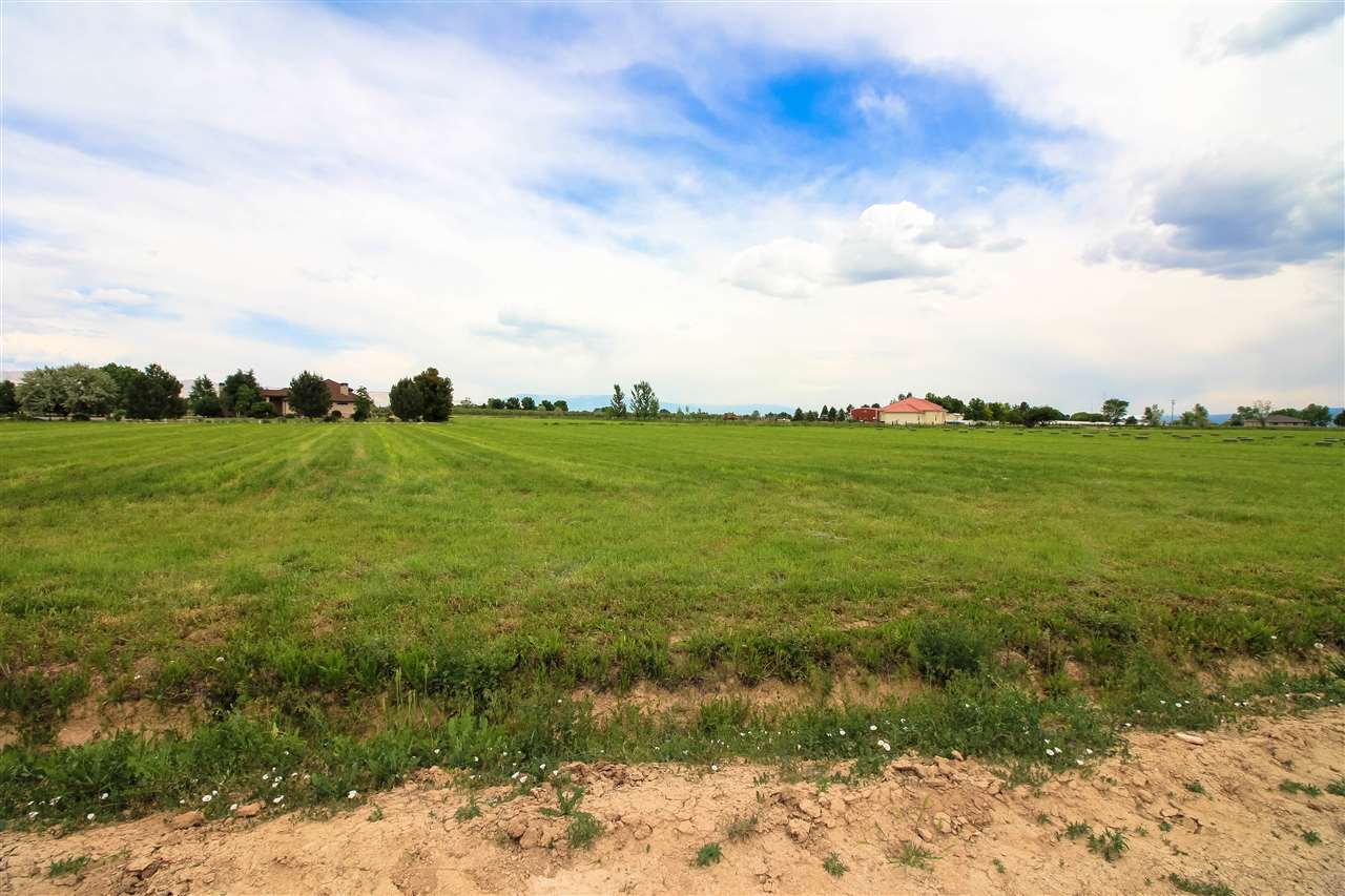 1114 22 Road Grand Junction, CO 81505 - Photo 25 of 26 a view of a field with an trees