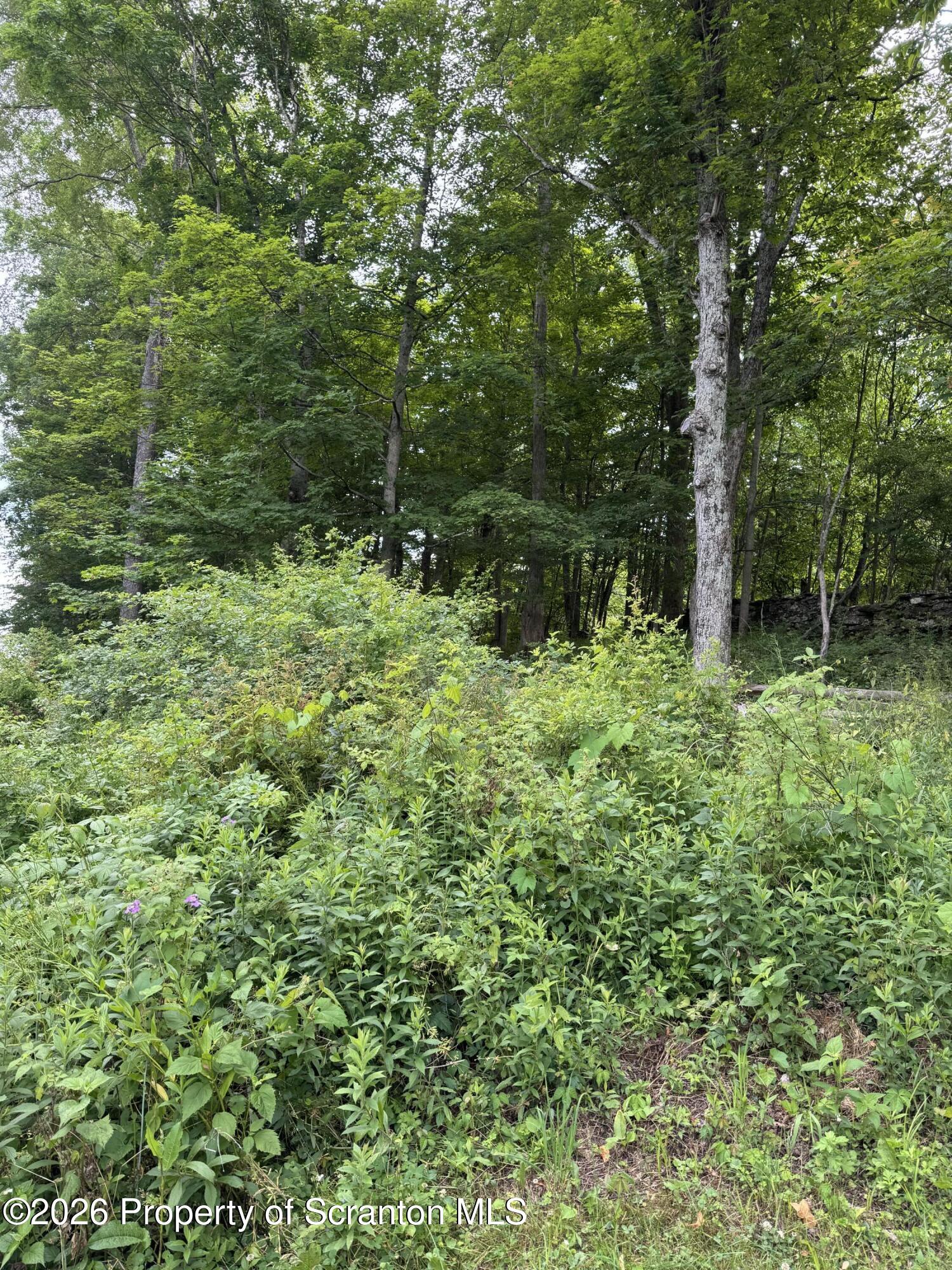 743 Pratt Hollow Road Nicholson, PA 18446 - Photo 60 of 68 Outside