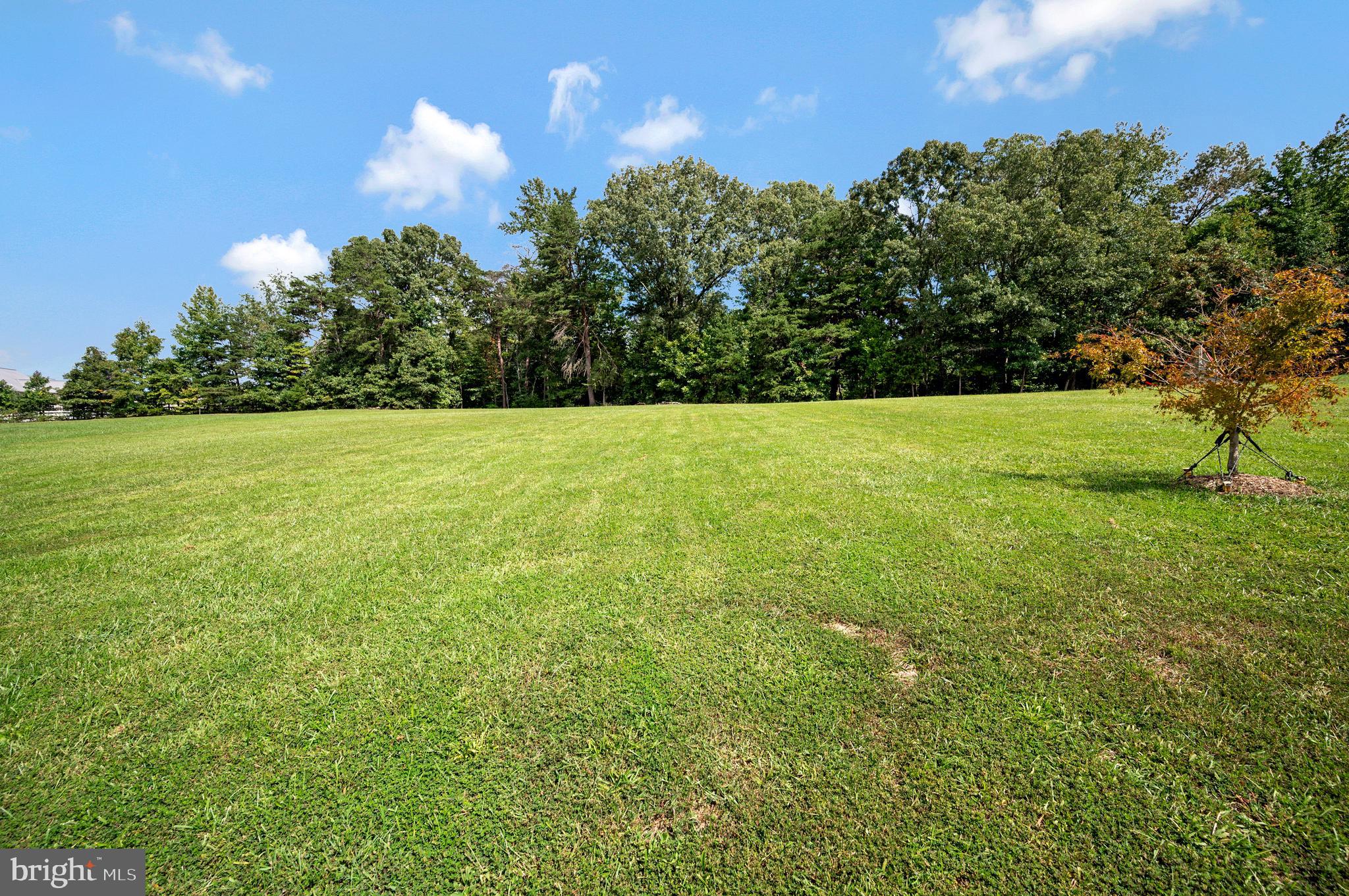 7 Chapel Ridge Stafford, VA 22554 - Photo 13 of 60 Back yard
