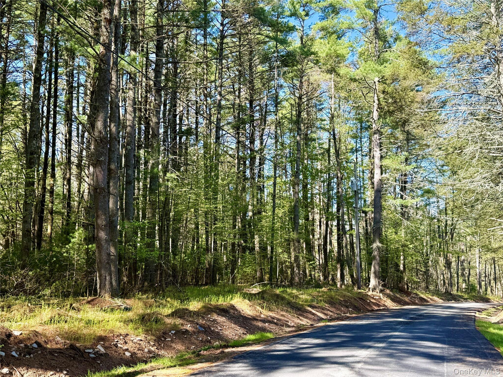 0 Smith Hughes Road Highland, NY 12528 - Photo 11 of 43 a view of a tree in a yard