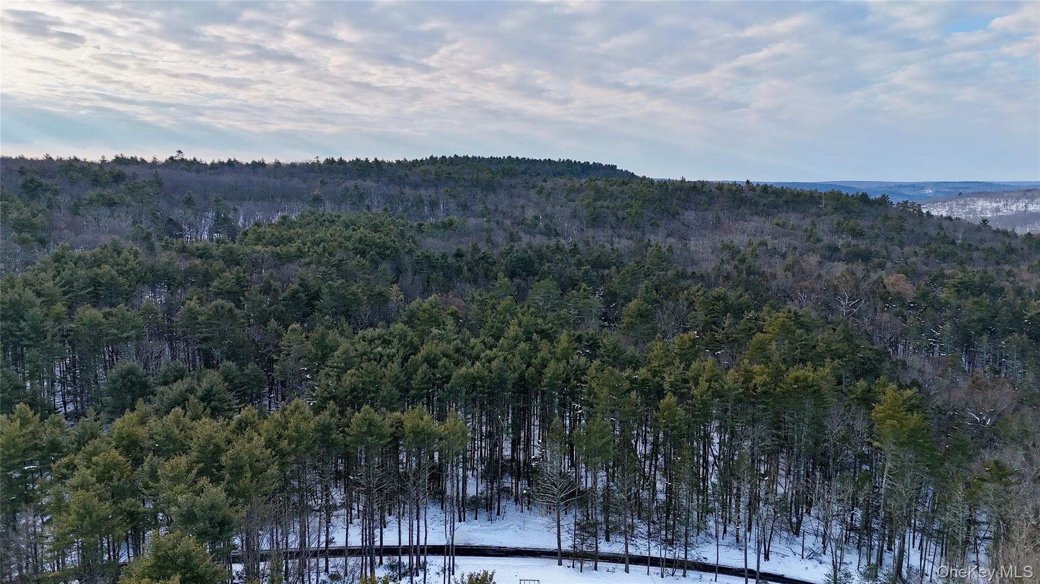 0 Smith Hughes Road Highland, NY 12528 - Photo 13 of 43
