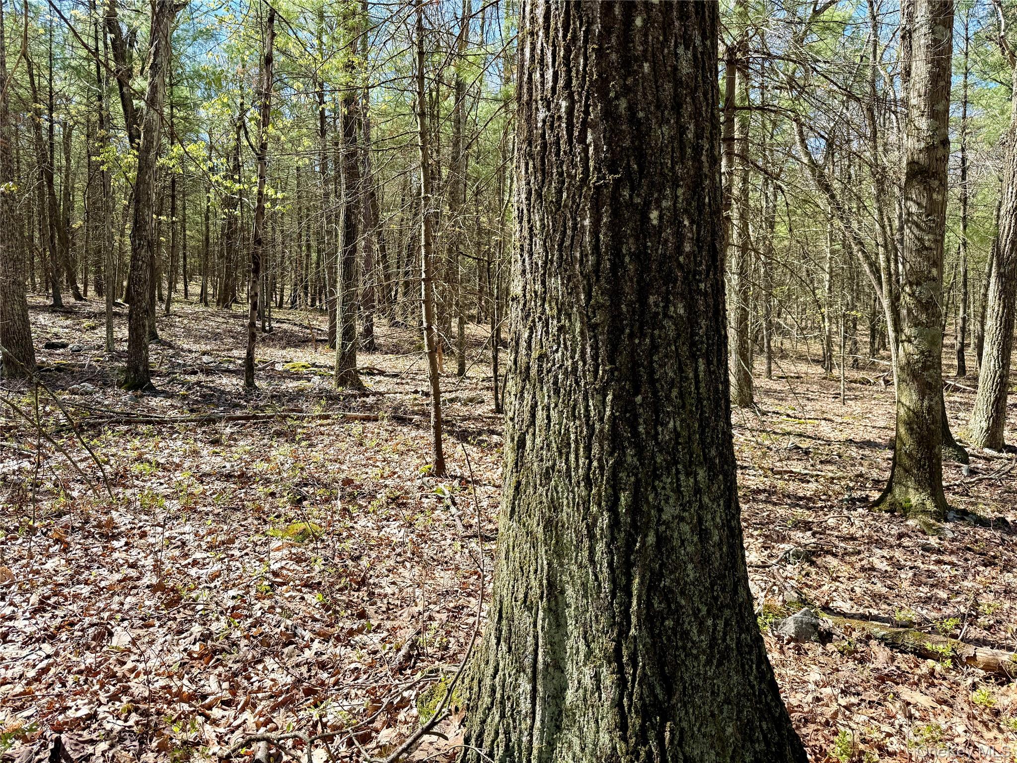 0 Smith Hughes Road Highland, NY 12528 - Photo 26 of 43